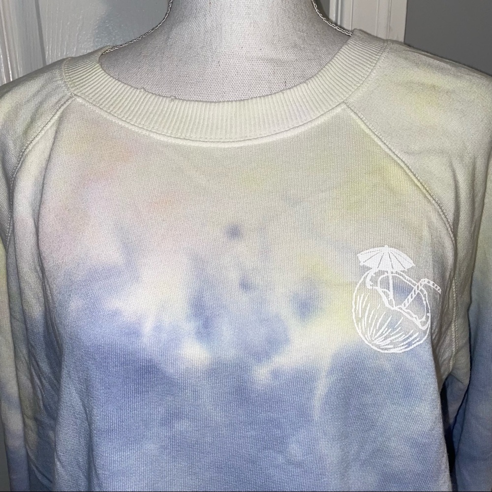 NWT Wildfox Overcast Wash Sommers Sweatshirt - Picture 2 of 11